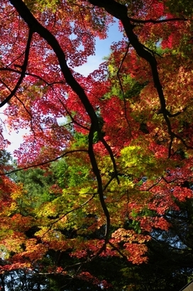 ��̕���