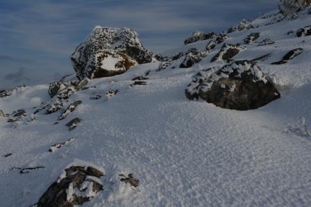 ��̕���