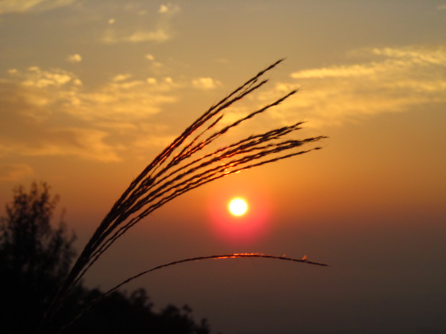 �R�����L