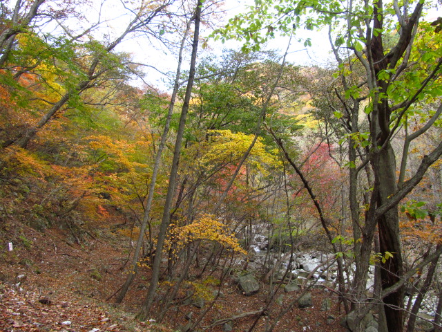 �R�����L