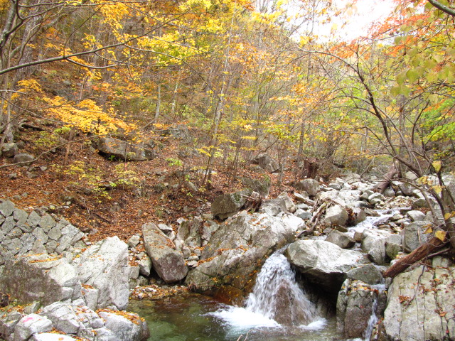 �R�����L