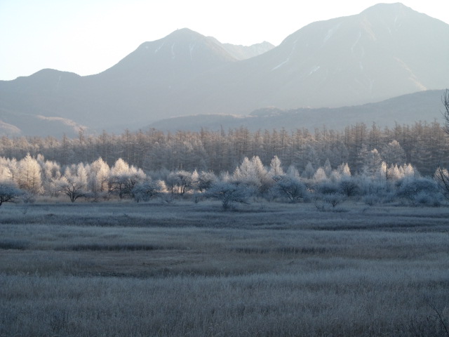 �R�����L