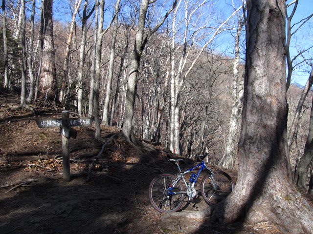 �R�����L