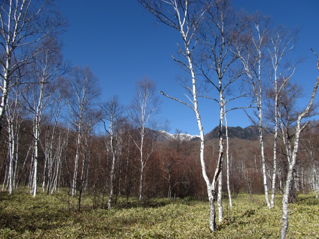 �R�����L