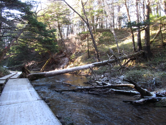 �R�����L