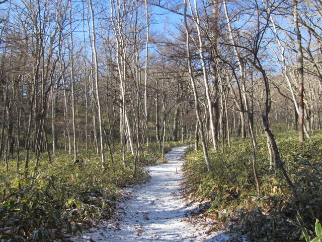 �R�����L