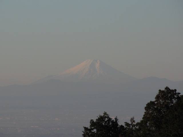 �R�����L