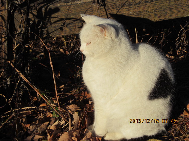 �R�����L