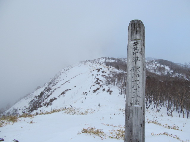 �R�����L