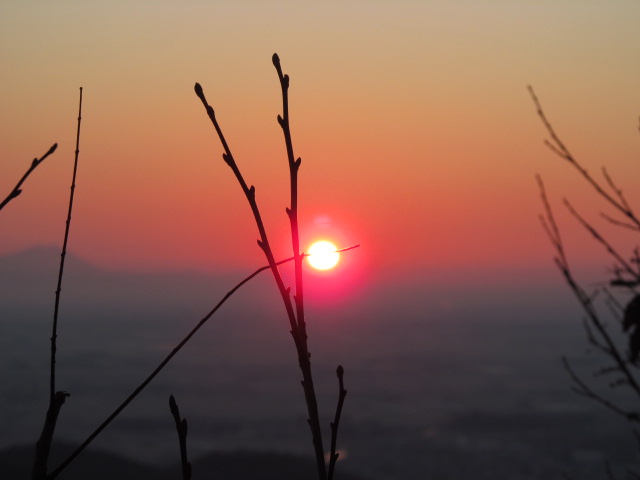 �R�����L