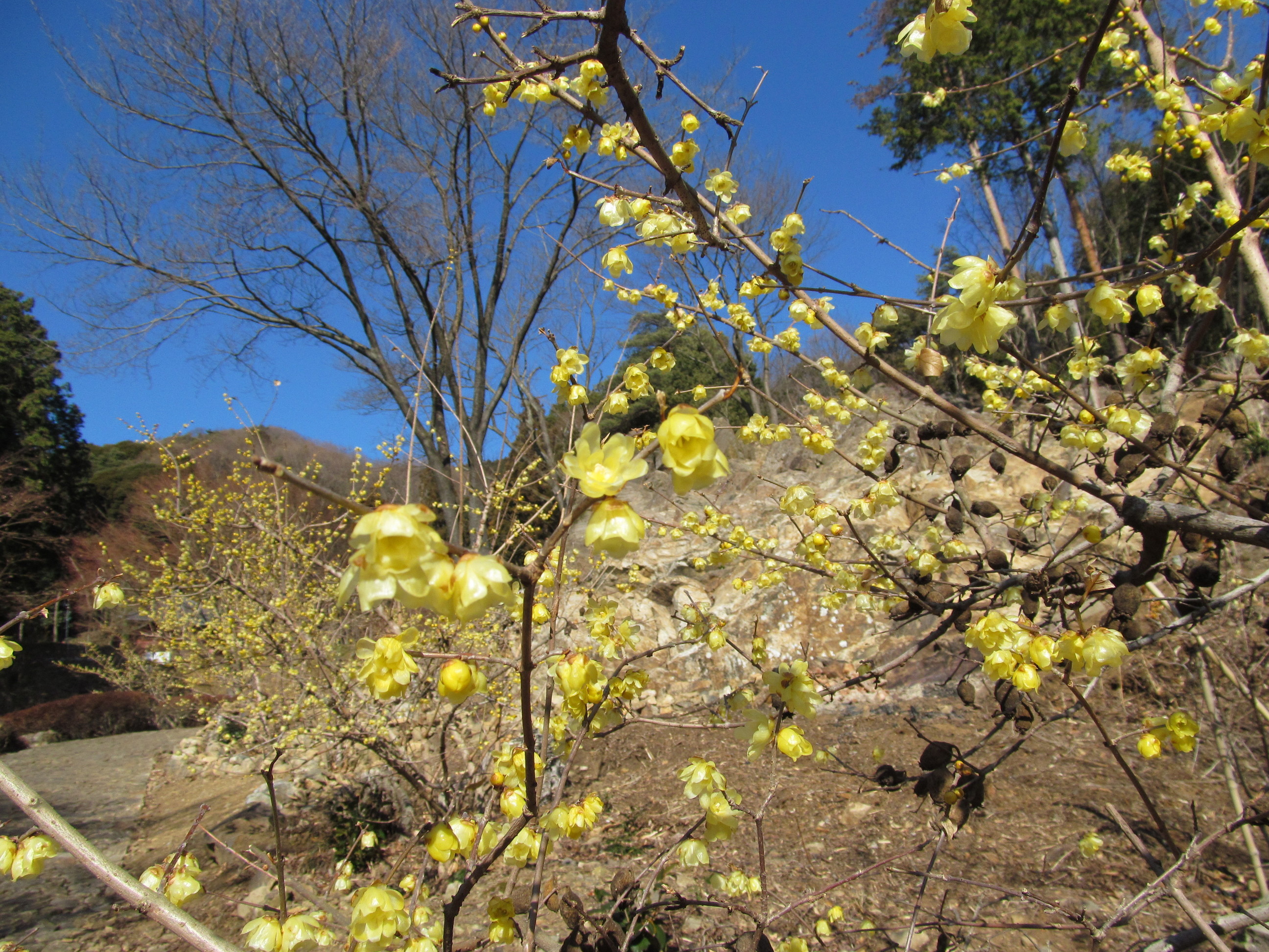 �R�����L