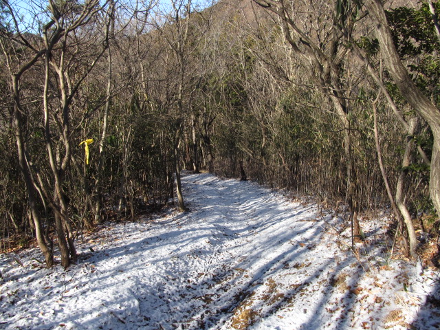 �R�����L