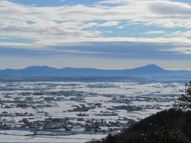 �R�����L