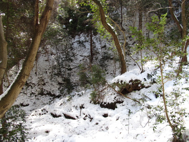 �R�����L