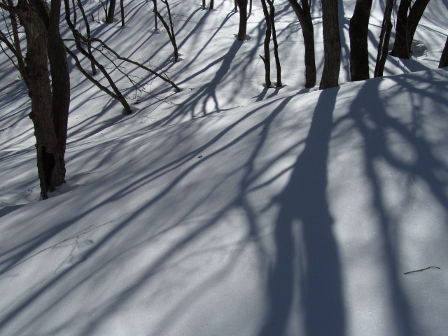 �R�����L