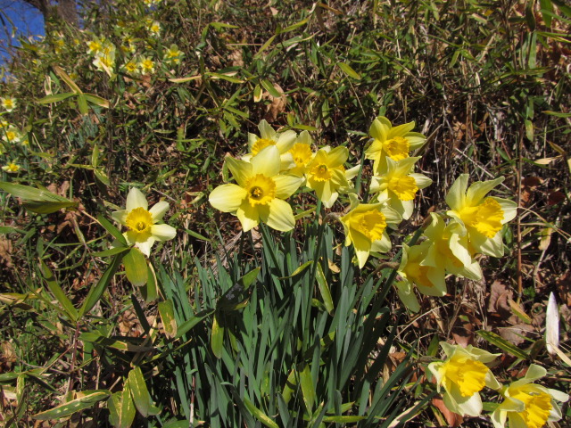 �R�����L