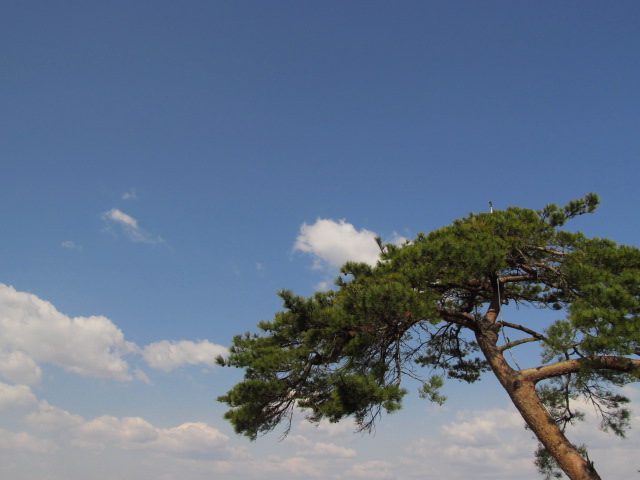 �R�����L