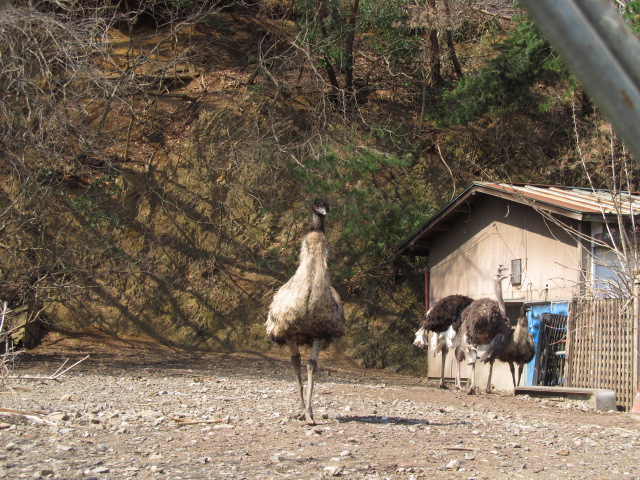 �R�����L