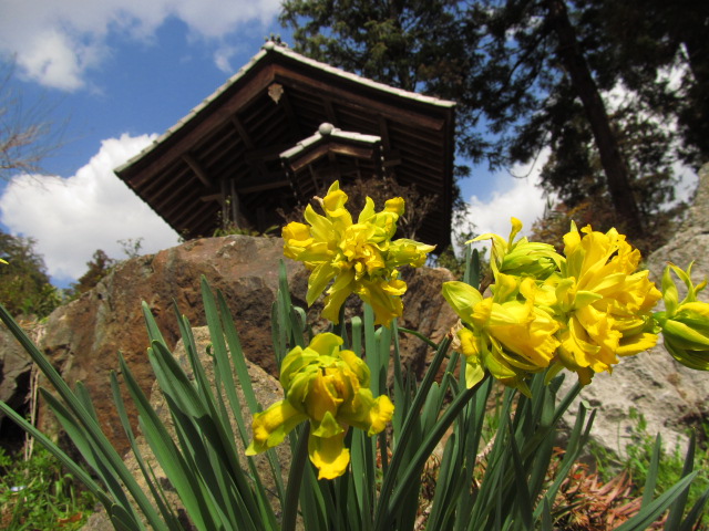 �R�����L