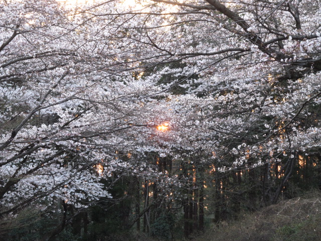 �R�����L