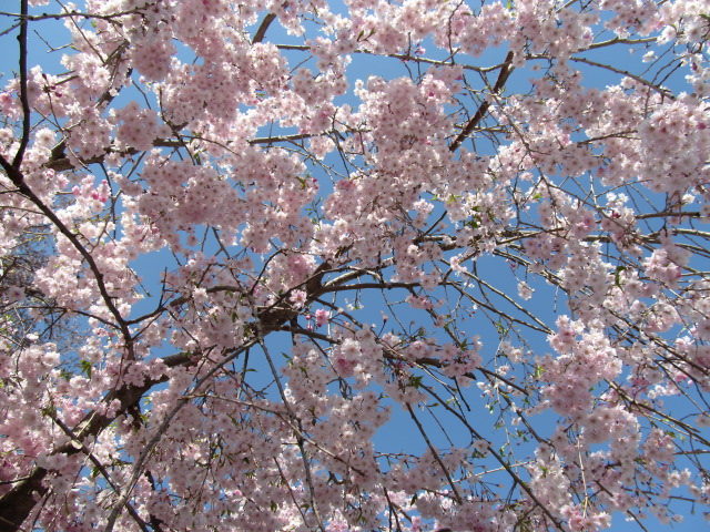 �R�����L