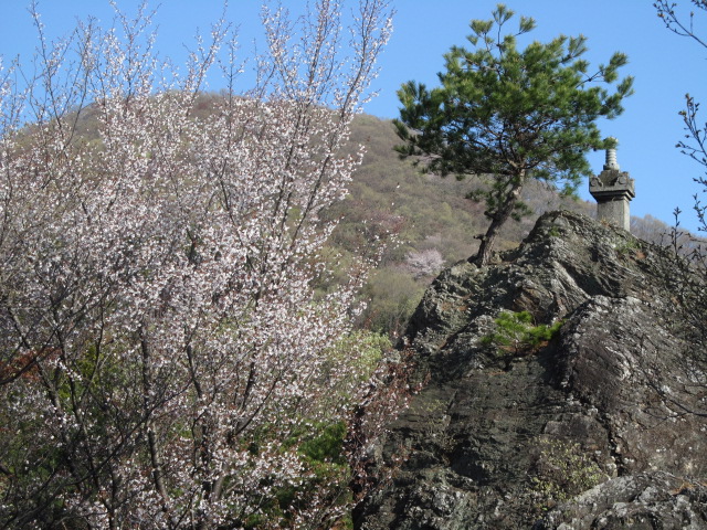 �R�����L