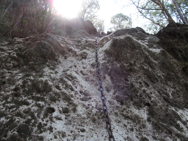 �R�����L