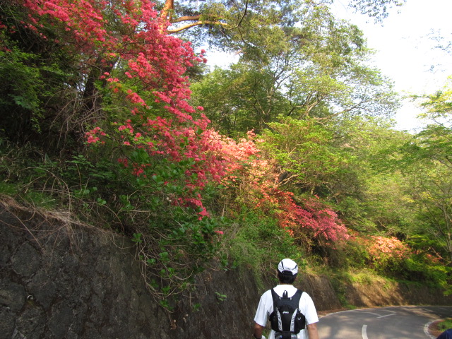 �R�����L