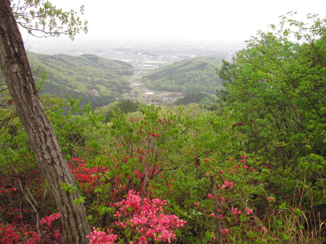 �R�����L