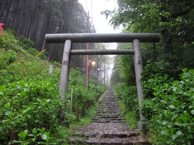 �R�����L