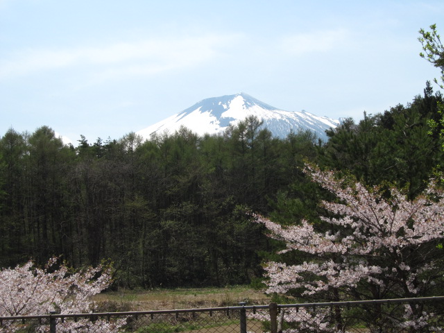 �R�����L