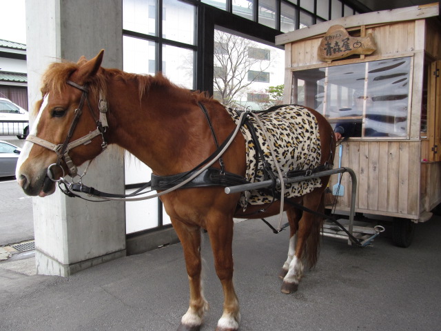 �R�����L