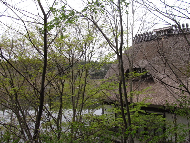 �R�����L