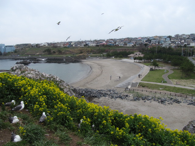 �R�����L