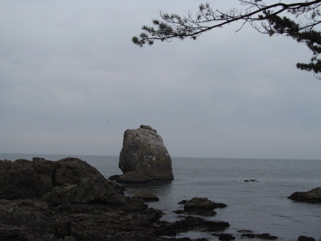 �R�����L