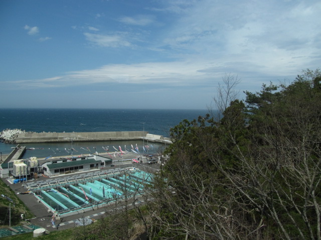 �R�����L