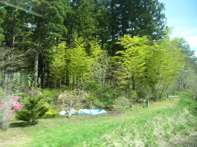 �R�����L