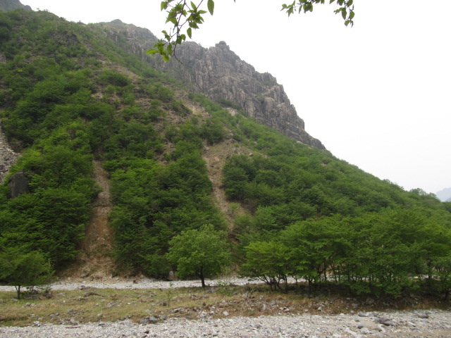 �R�����L