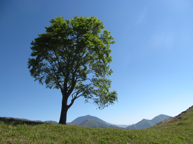 �R�����L