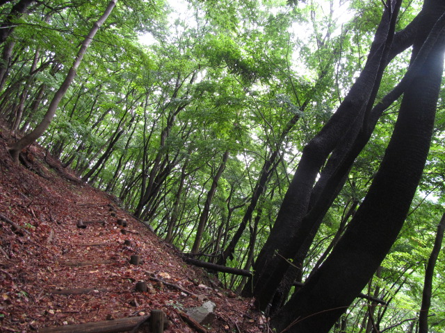 �R�����L