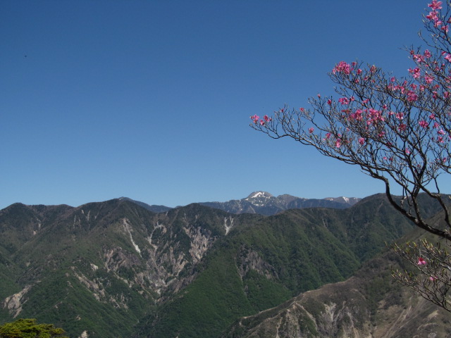 �R�����L