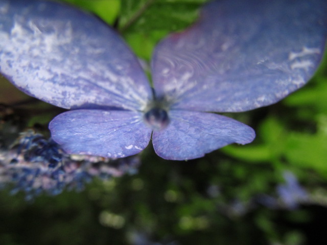 �R�����L