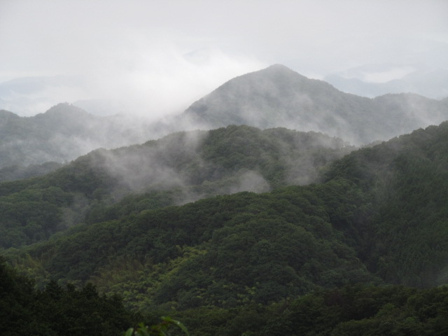 �R�����L