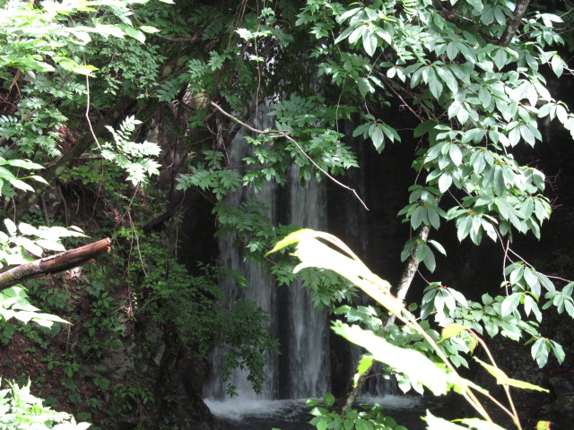 �R�����L