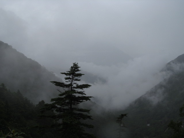 �R�����L