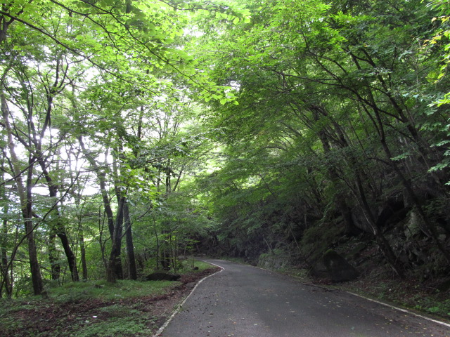 �R�����L