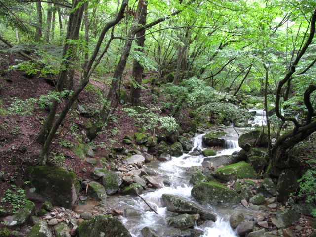 �R�����L