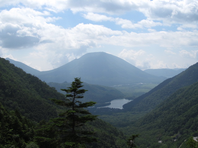 �R�����L