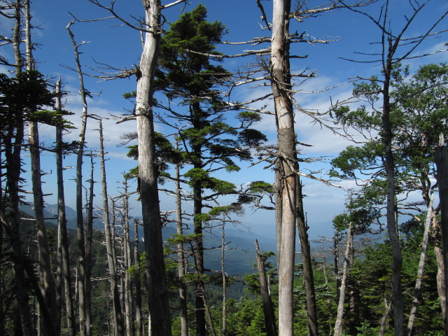 �R�����L