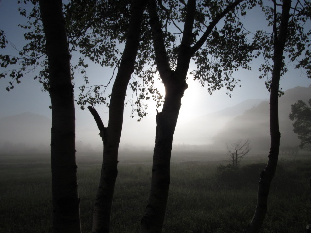 �R�����L